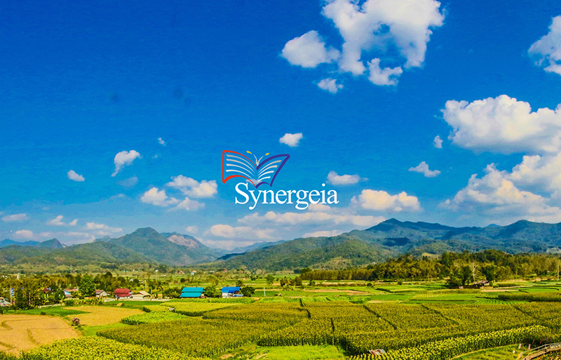 Synergeia’s Donors and Partners for 2017